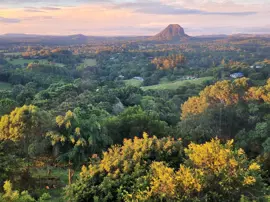 rainforest-geology