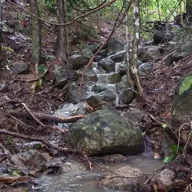 rainforest-geology