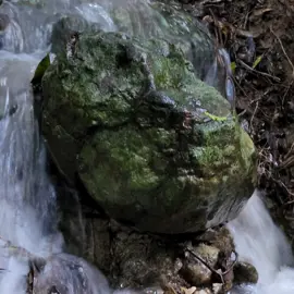 rainforest-geology