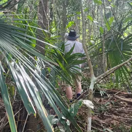 rainforest-geology