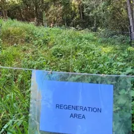 regeneration