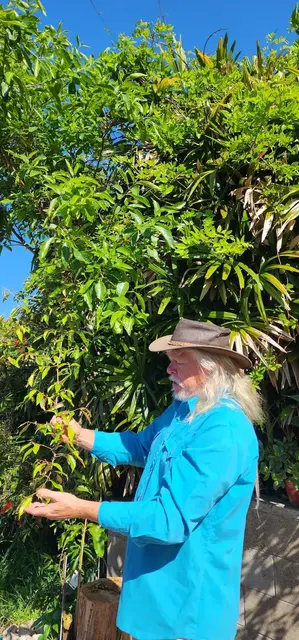 Bush tucker photograph from the Mt Pinbarren Nature Retreat gallery, dated 17 September 2023, 8:54 am.