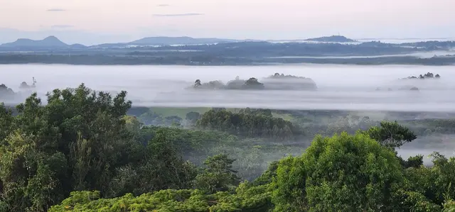 Mt Pinbarren landscape photograph from the Mt Pinbarren Nature Retreat gallery, dated 15 June 2022, 6:32 am.