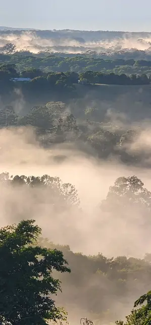 Mt Pinbarren landscape photograph from the Mt Pinbarren Nature Retreat gallery, dated 31 August 2023, 6:44 am.