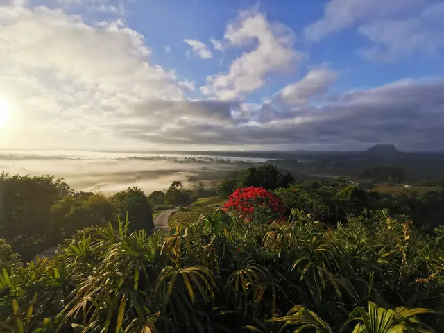 Mt Pinbarren landscape photograph from the Mt Pinbarren Nature Retreat gallery, dated 06 December 2019, 5:26 am.
