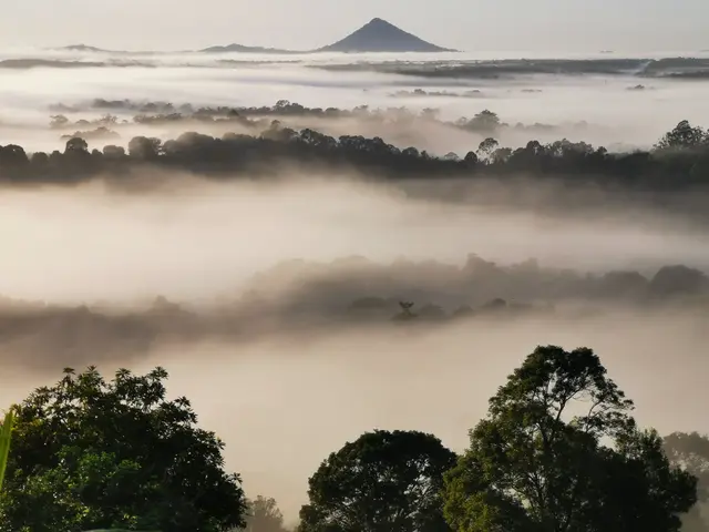 Mt Pinbarren landscape photograph from the Mt Pinbarren Nature Retreat gallery, dated 28 February 2020, 6:04 am.