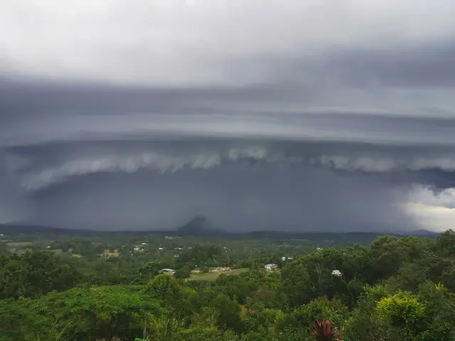 Mt Pinbarren landscape photograph from the Mt Pinbarren Nature Retreat gallery, dated 10 May 2020, 4:11 pm.