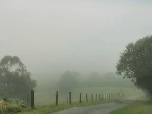 Mt Pinbarren landscape photograph from the Mt Pinbarren Nature Retreat gallery, dated 08 August 2020, 8:17 am.