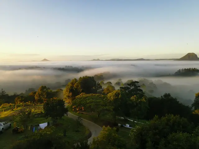 Mt Pinbarren landscape photograph from the Mt Pinbarren Nature Retreat gallery, dated 13 August 2021, 6:34 am.