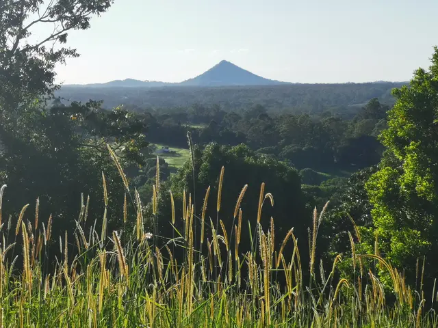 Mt Pinbarren landscape photograph from the Mt Pinbarren Nature Retreat gallery, dated 11 December 2021, 6:20 am.