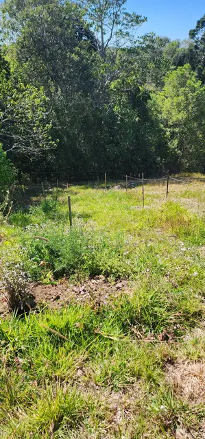 Land regeneration photograph from the Mt Pinbarren Nature Retreat gallery, dated 27 September 2023, 9:42 am.